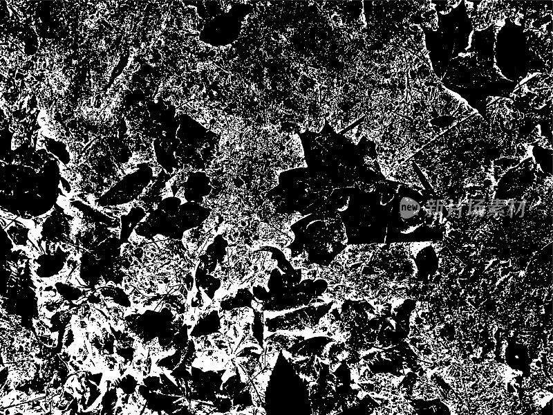 垃圾纹理-地面的叶子。黑色灰尘Scratchy Pattern。抽象的背景。矢量设计作品。变形的效果。裂缝。